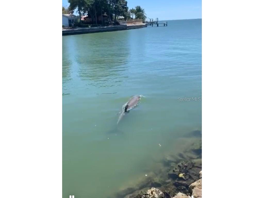 6760 29th Street S Saint Petersburg FL 33712 - TAMPA BAY TB8445586 image80