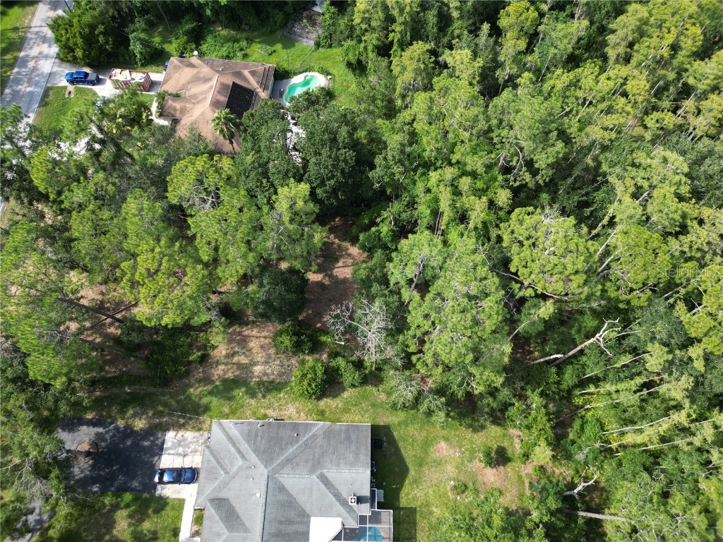 6760 Quail Hollow Boulevard Wesley Chapel FL 33544 O6219607 image13