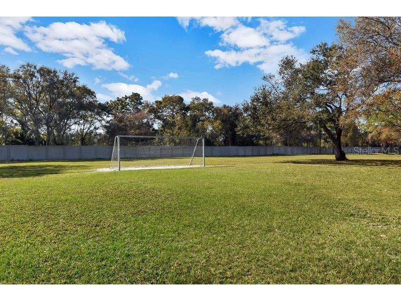 6760 Waterton Drive Riverview FL 33578 TB8508517 image53