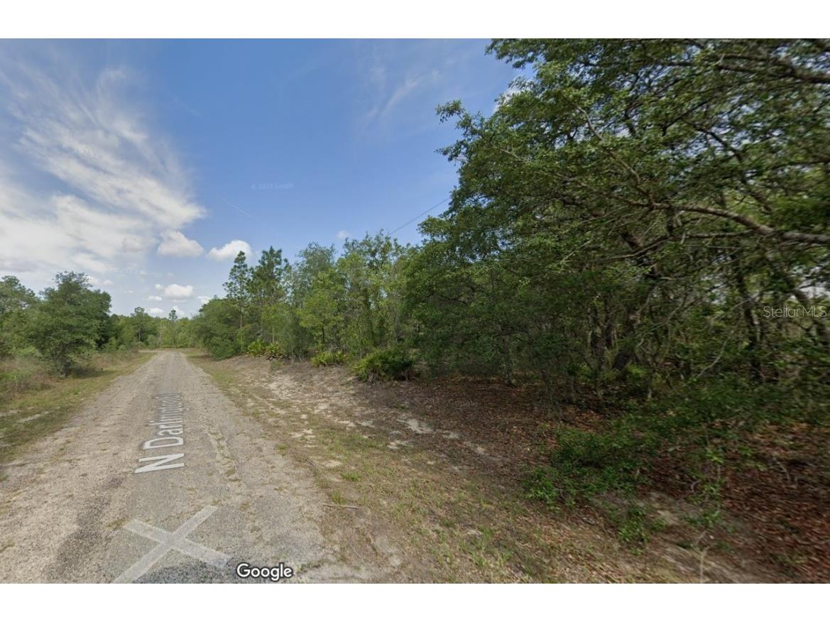 6761 N Darlington Drive Dunnellon FL 34434 O6212570 image1