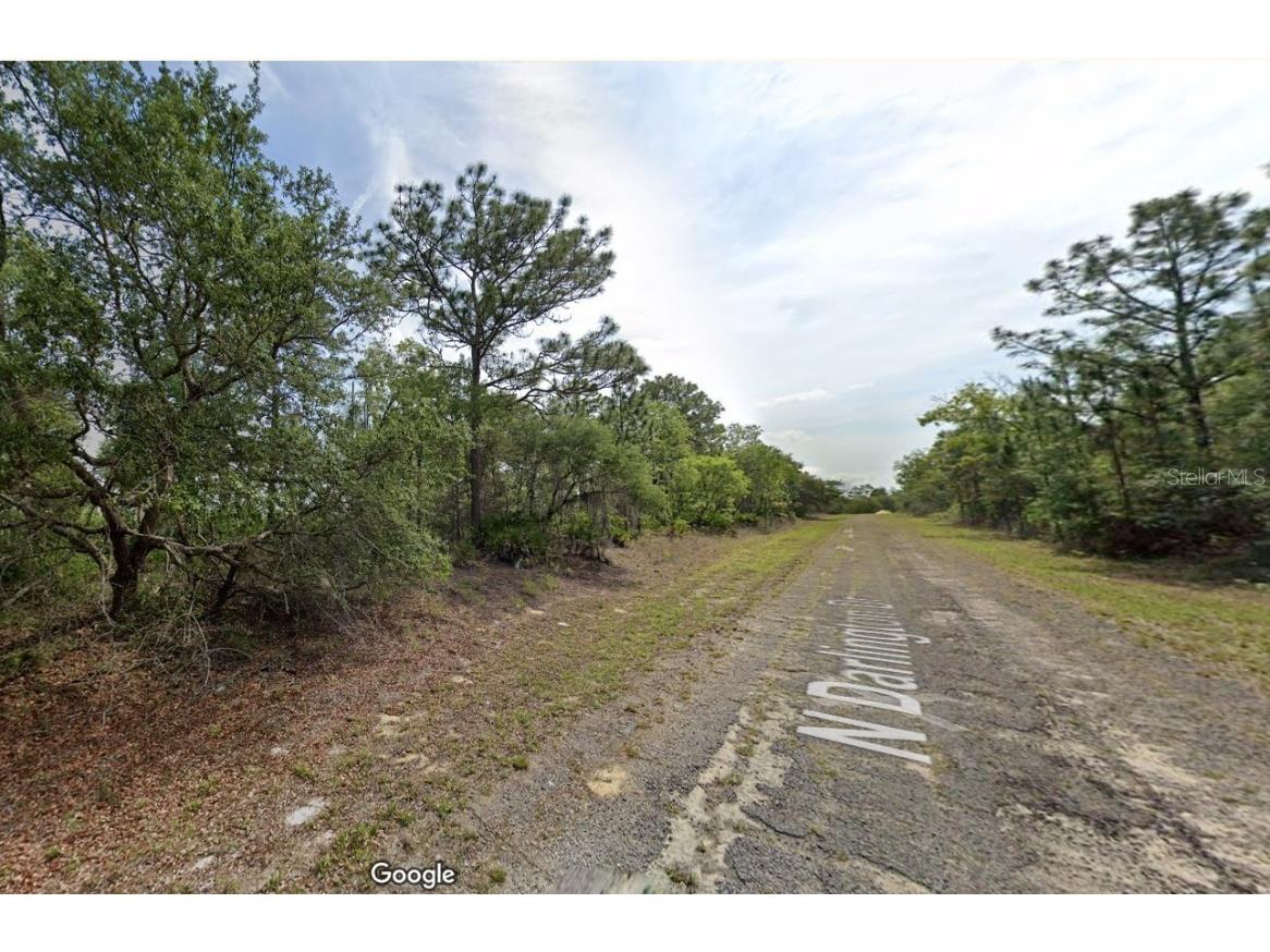 6761 N Darlington Drive Dunnellon FL 34434 O6212570 image2