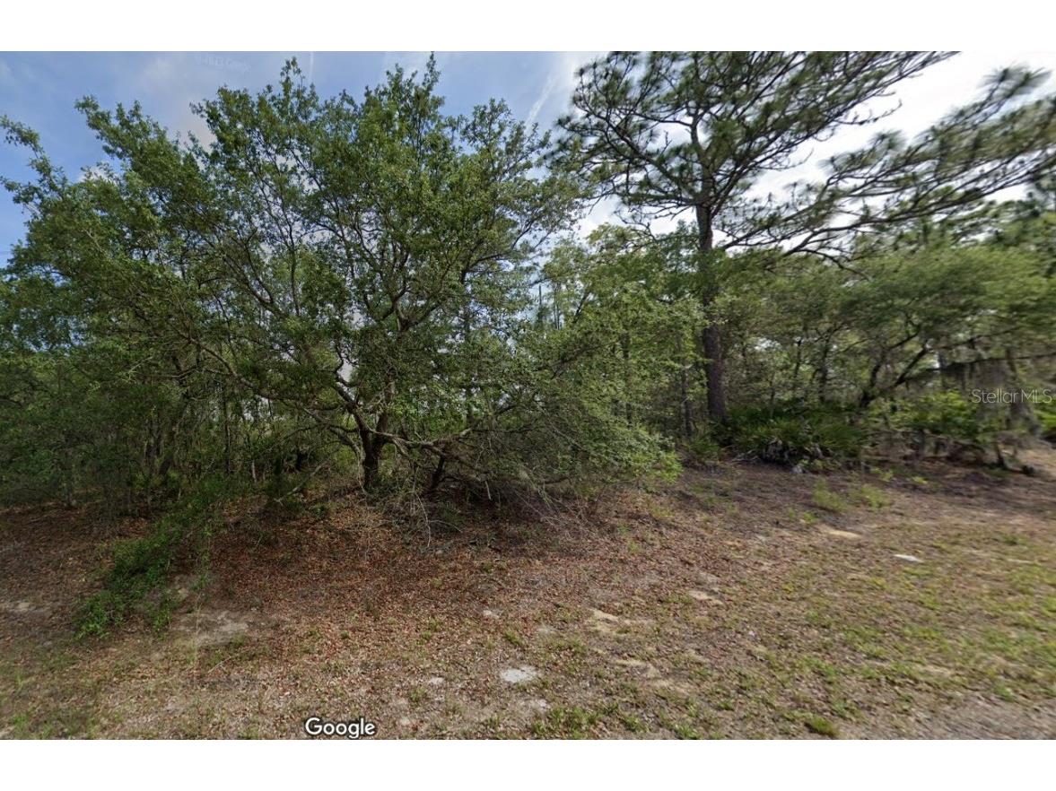 6761 N Darlington Drive Dunnellon FL 34434 O6212570 image3