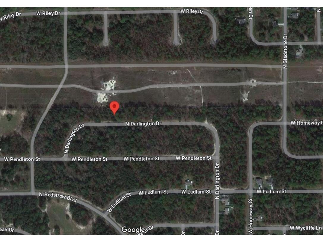 6761 N Darlington Drive Dunnellon FL 34434 O6212570 image4