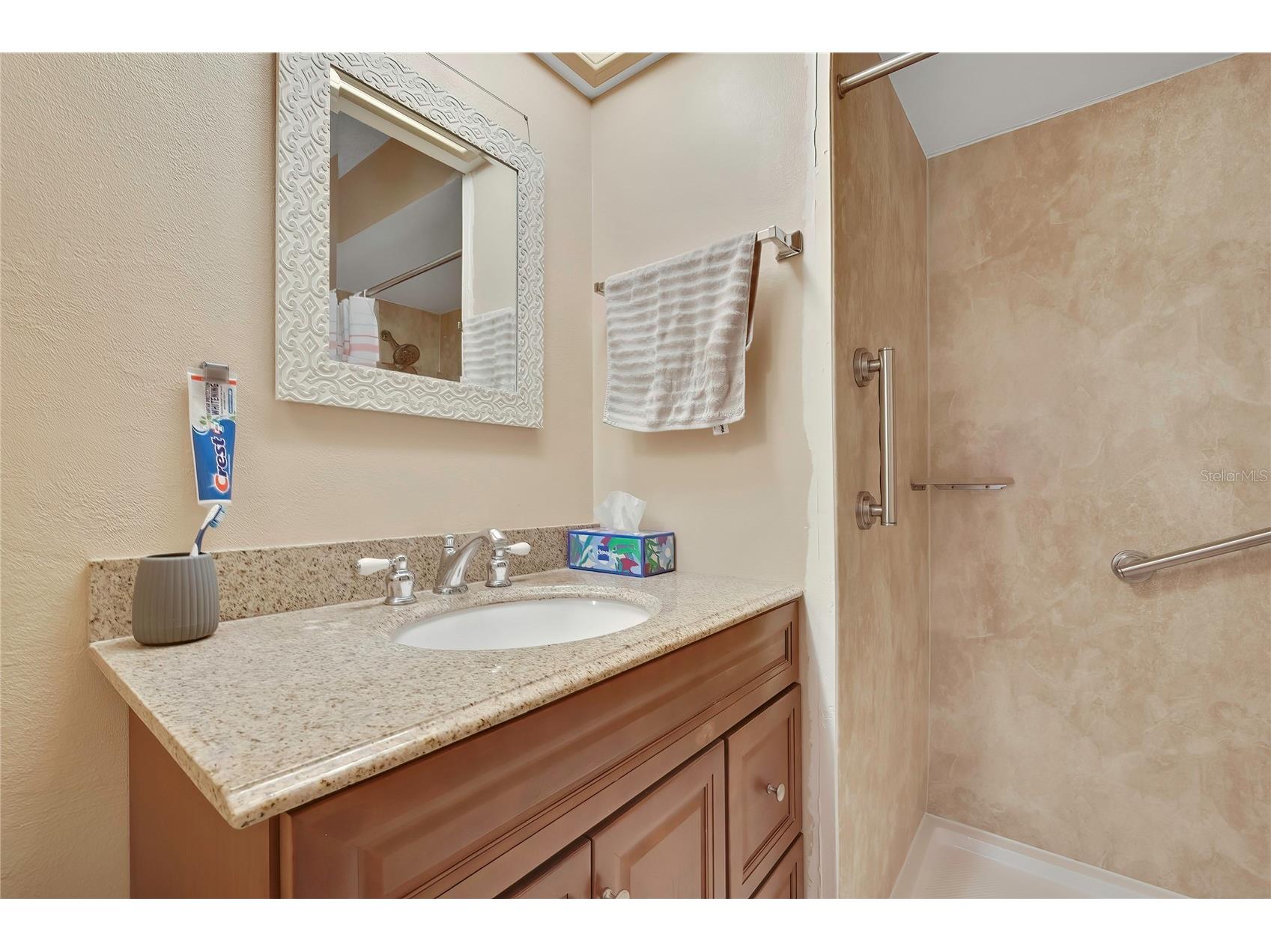 6762 Pearleaf Court Spring Hill FL 34606 TB8508278 image19