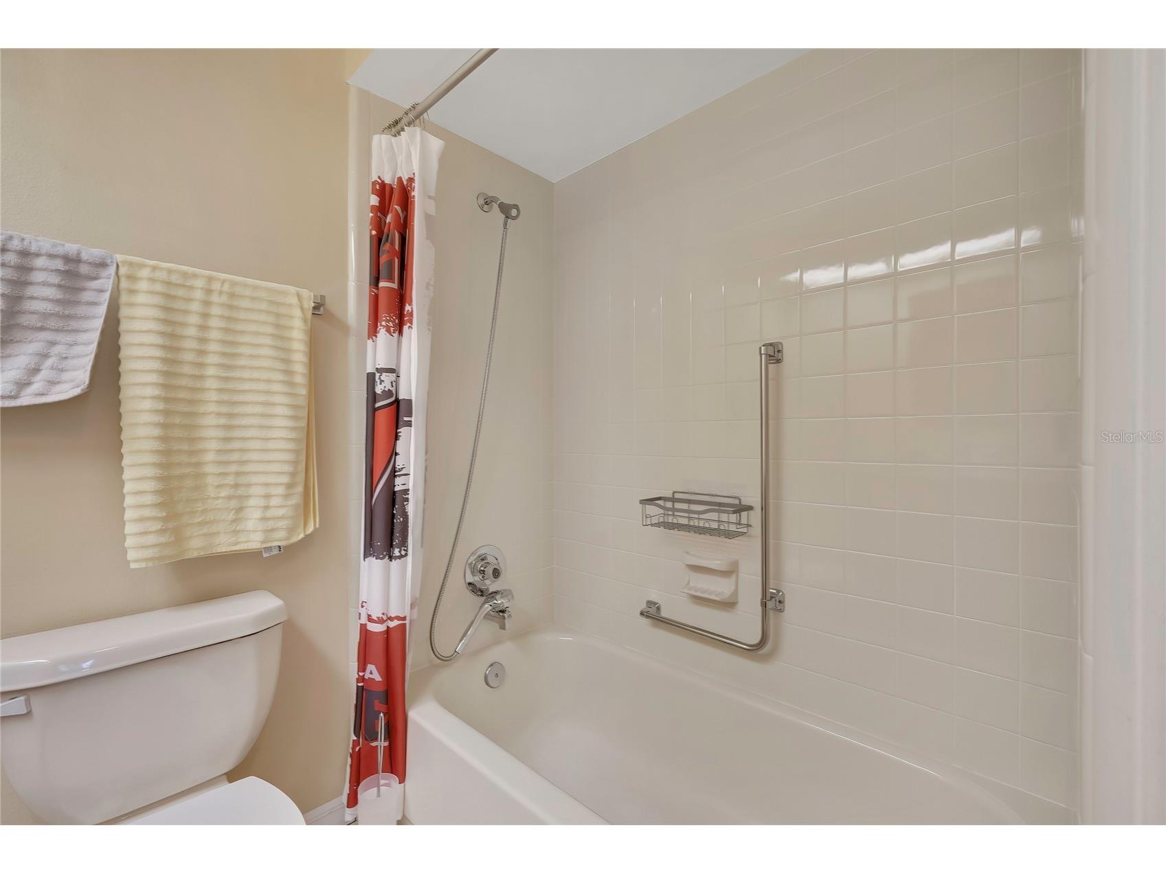 6762 Pearleaf Court Spring Hill FL 34606 TB8508278 image23