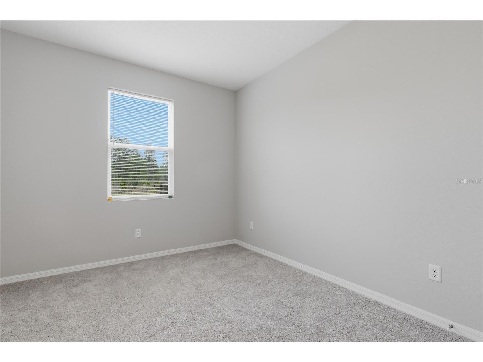 6764 Broad River Avenue Land O Lakes FL 34638 TB8495002 image12