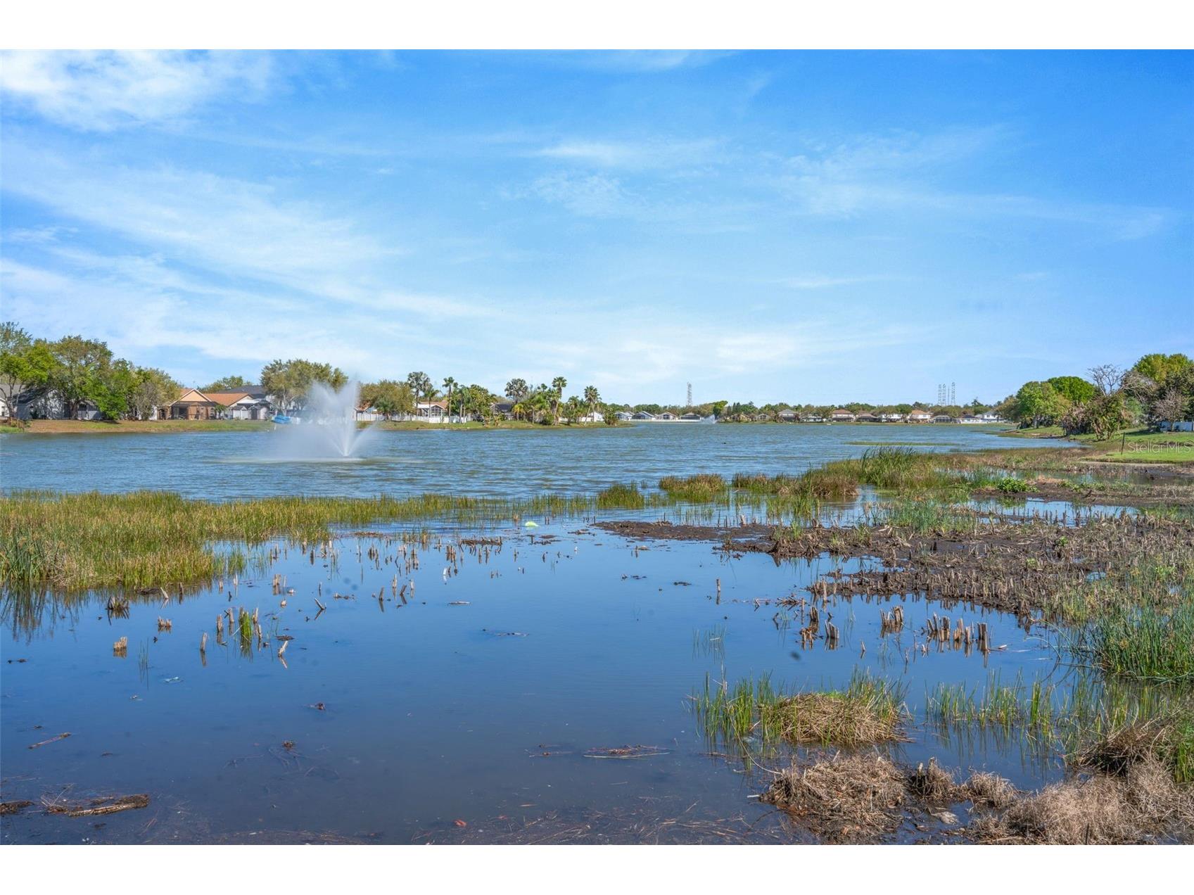 6765 Lake Rochester Lane Gibsonton FL 33534 TB8484250 image31