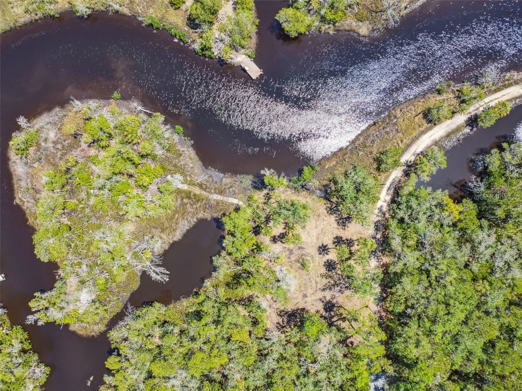 6765 S Beagle Drive Homosassa FL 34448 - Mason Creek T3444020 image1