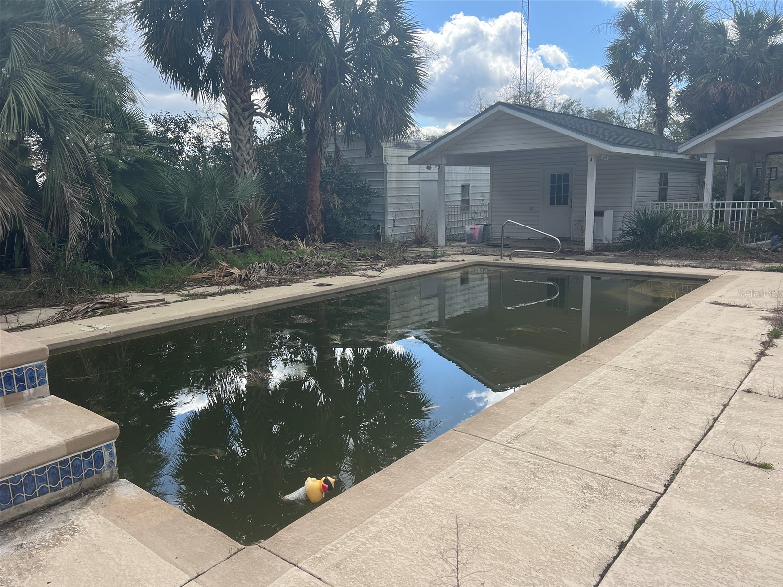 6766 264th Street Branford FL 32008 A4644751 image13