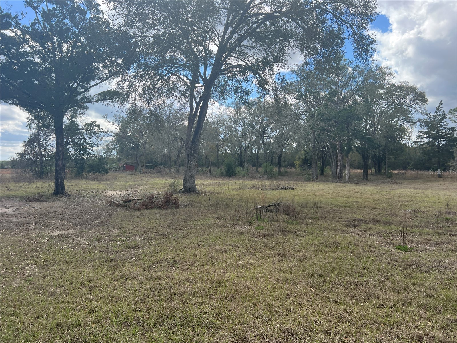 6766 264th Street Branford FL 32008 A4644751 image4