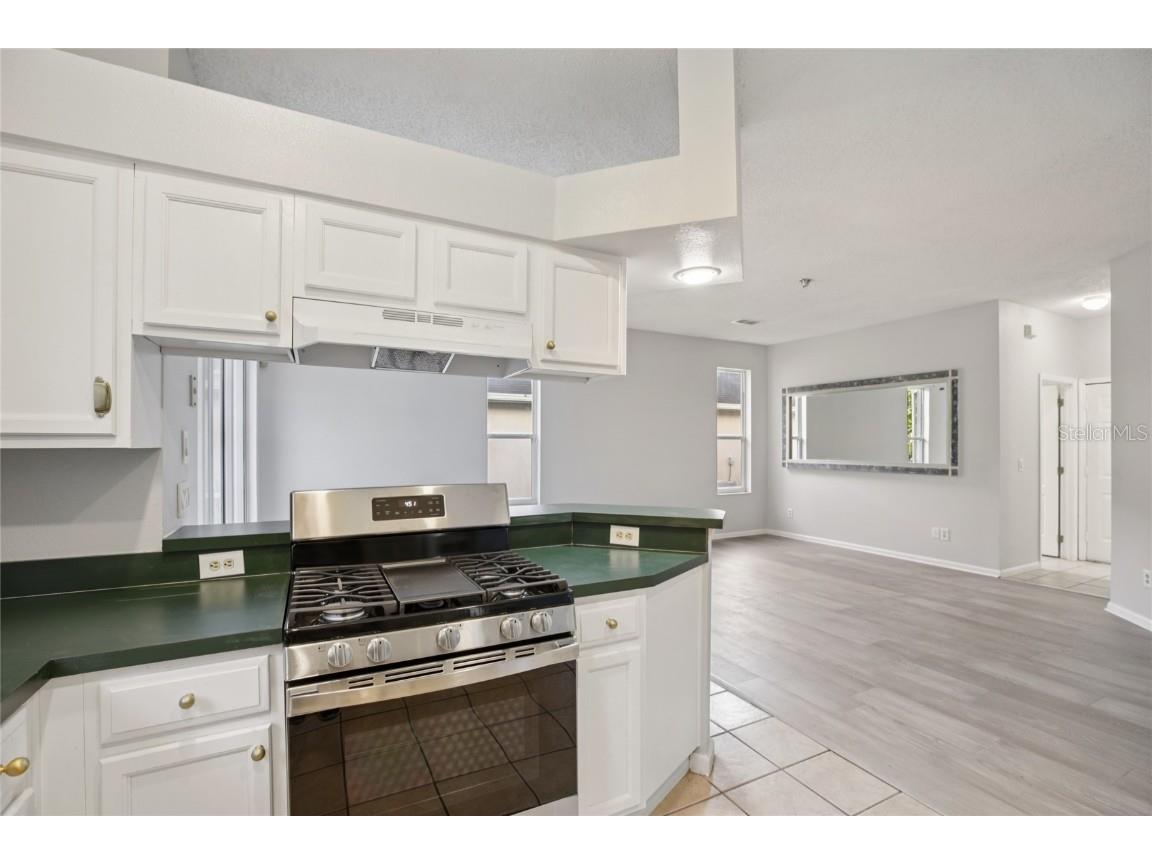 6767 Cherry Grove Cir Orlando FL 32809 O6353250 image24