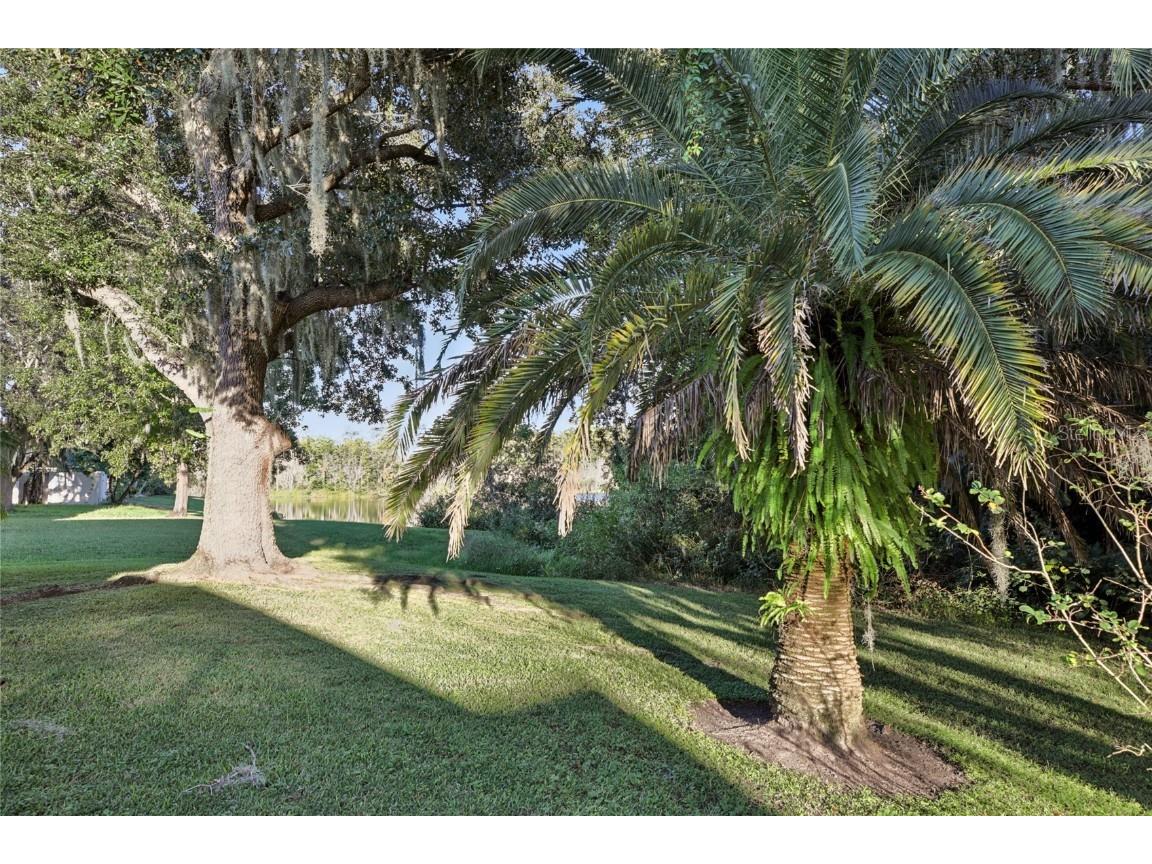 6767 Cherry Grove Cir Orlando FL 32809 O6353250 image47