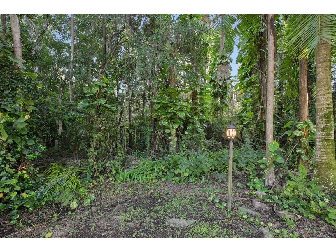 6767 Cherry Grove Cir Orlando FL 32809 O6353250 image48