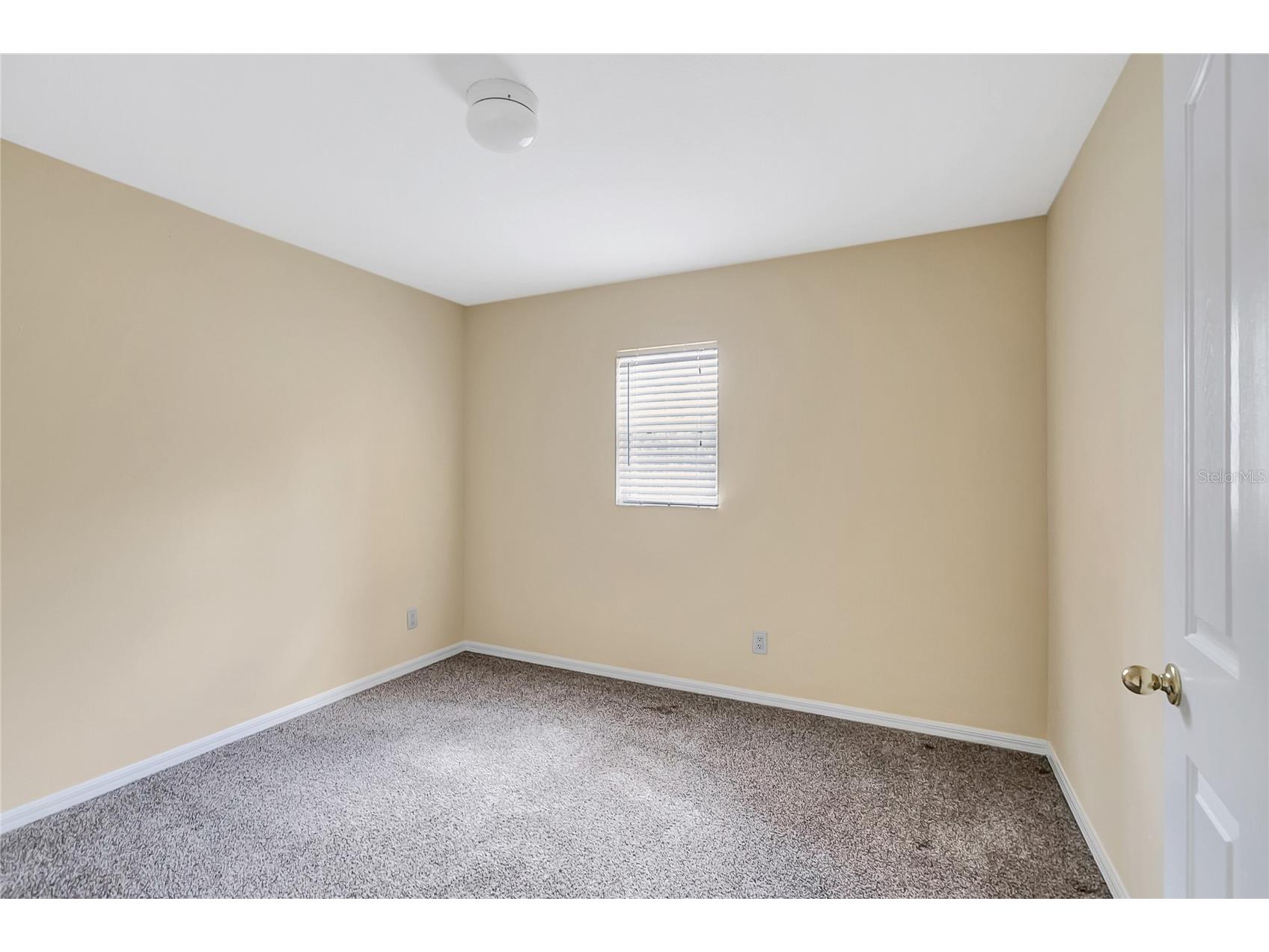 6767 Waterton Drive Riverview FL 33578 TB8520728 image34