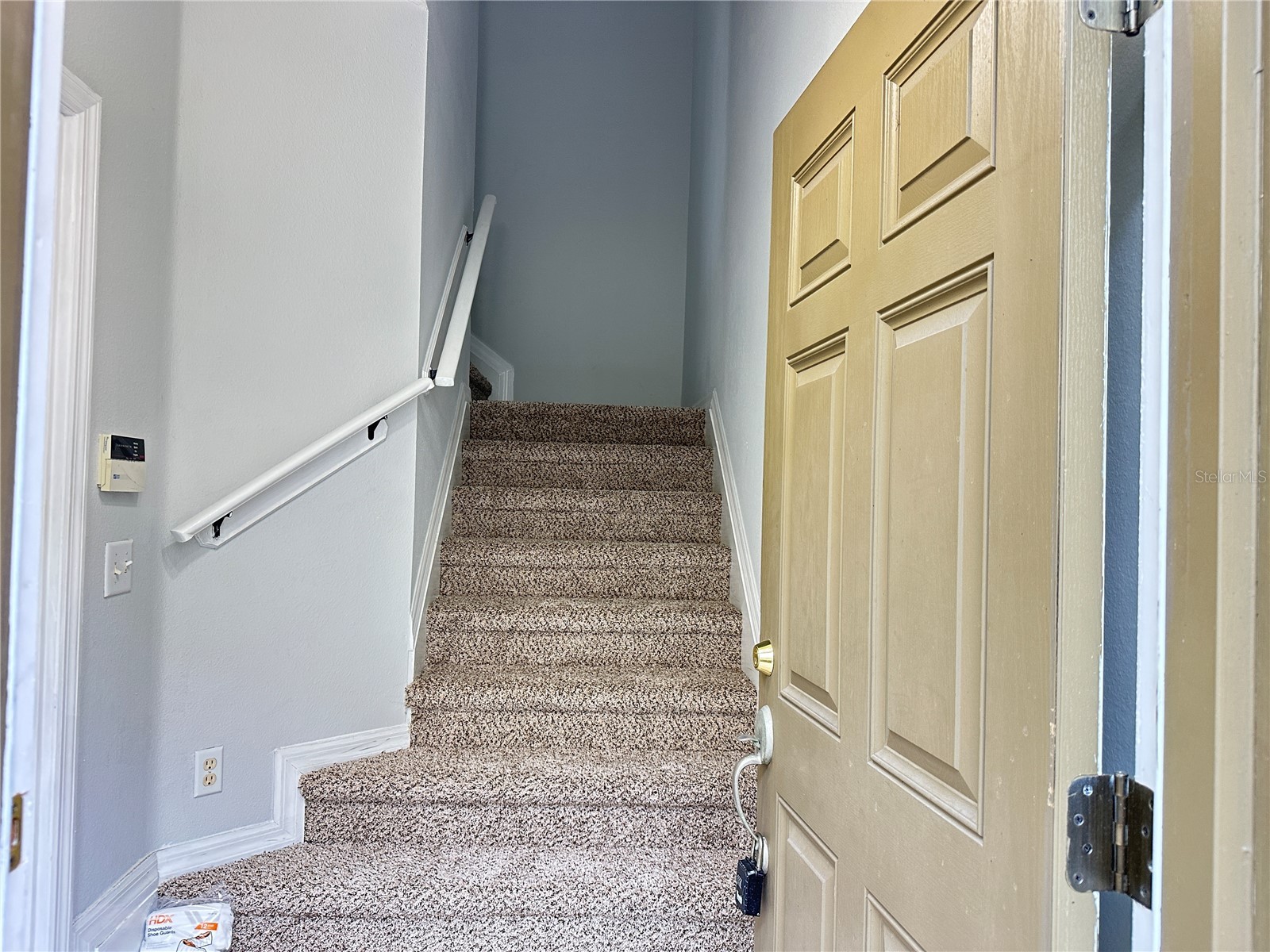 6768 Breezy Palm Drive Riverview FL 33578 A4695374 image4