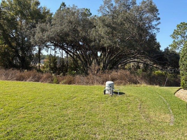 6770 SW 179th Avenue Road Dunnellon FL 34432 OM713779 image8