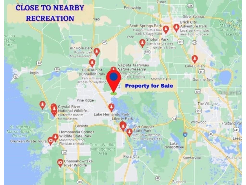 6772 N Hartman Path Hernando FL 34442 TB8442298 image4