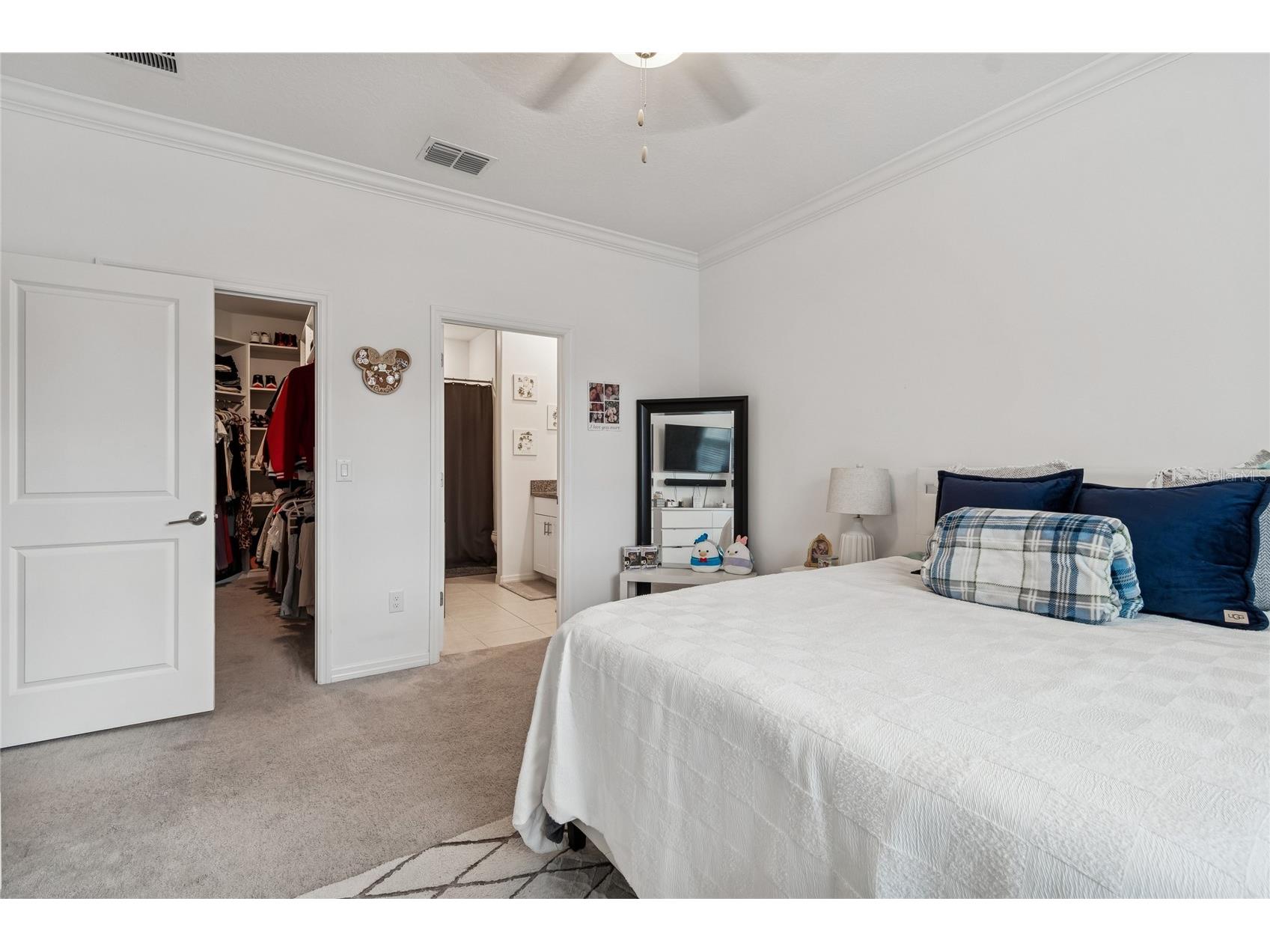 6773 Ripple Pond Loop Zephyrhills FL 33541 TB8482773 image24