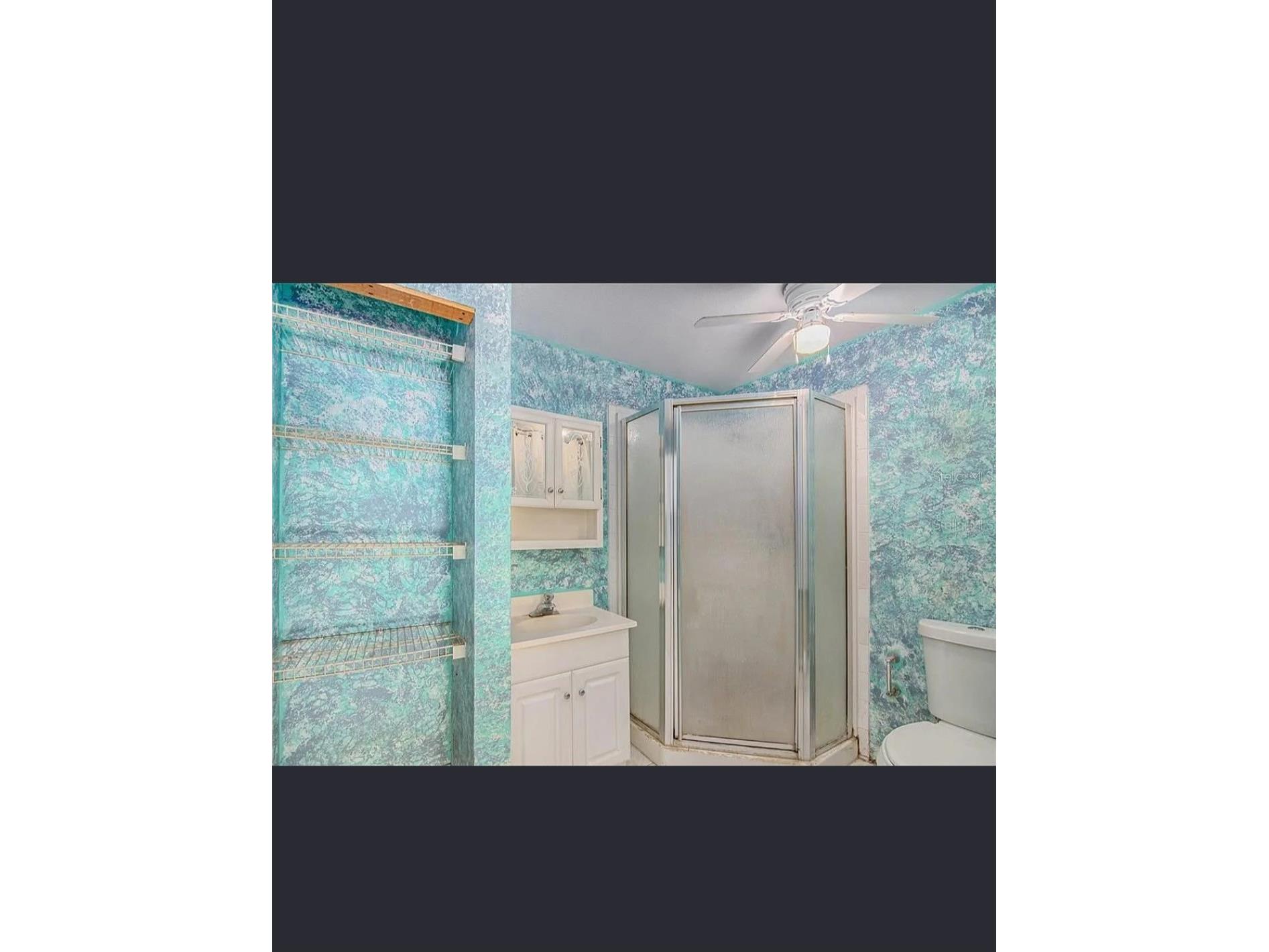 6775 78th Avenue N Pinellas Park FL 33781 TB8481593 image7