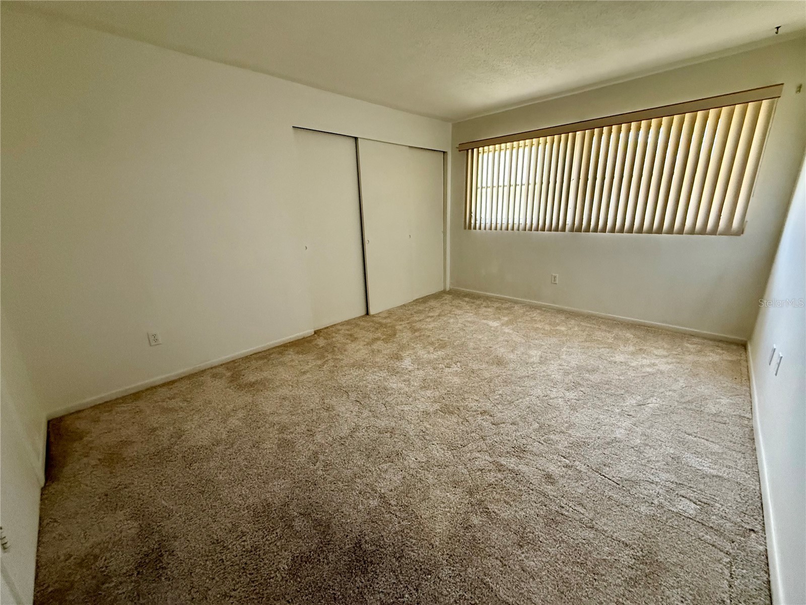 6775 Armand Place N #4 Pinellas Park FL 33781 TB8510341 image22
