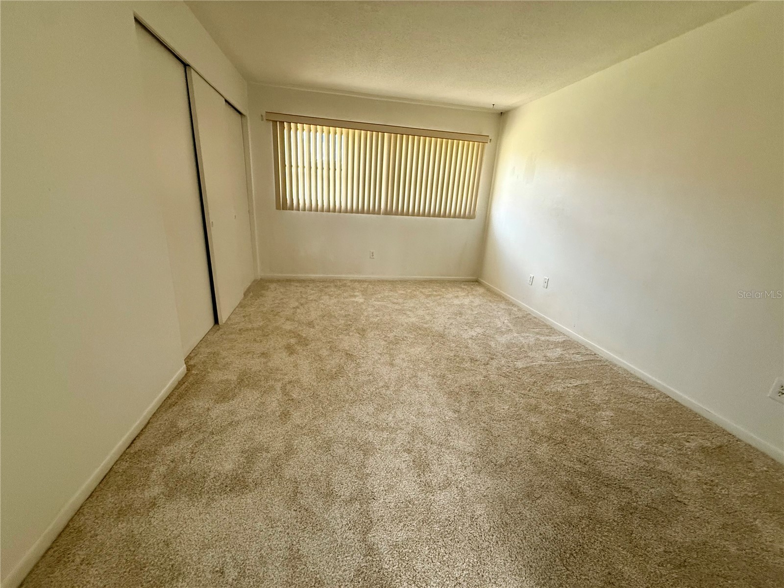 6775 Armand Place N #4 Pinellas Park FL 33781 TB8510341 image23