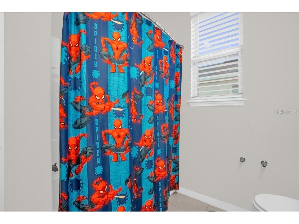 6775 Sarus Crane Point Harmony FL 34773 O6328183 image15