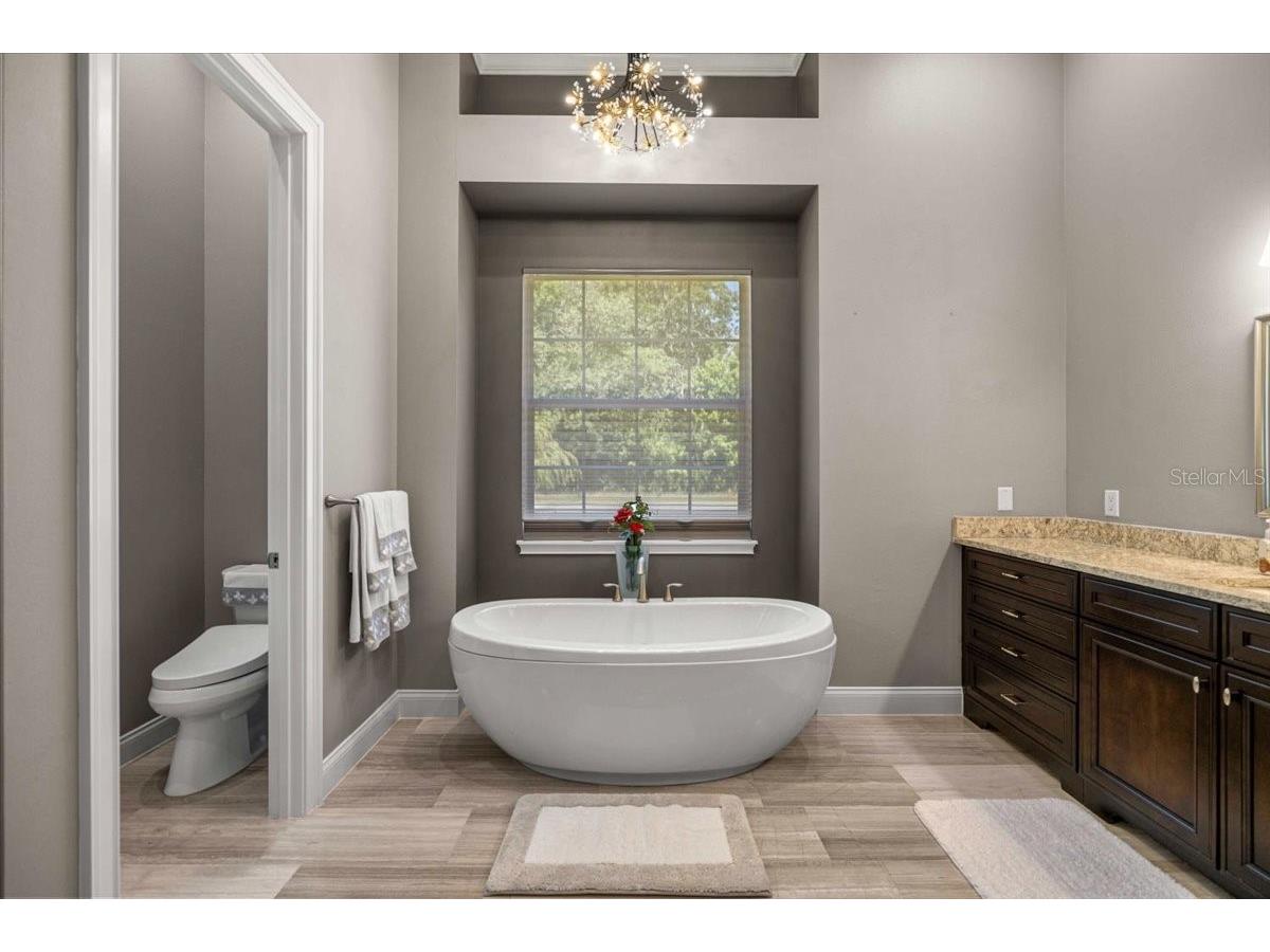 6775 SE 12th Circle Ocala FL 34480 OM724228 image18