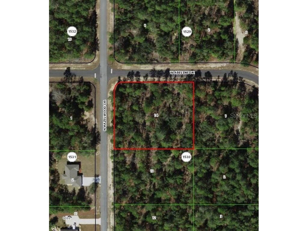 6777 N Hazelwood Drive Citrus Springs FL 34433 TB8454385 image1