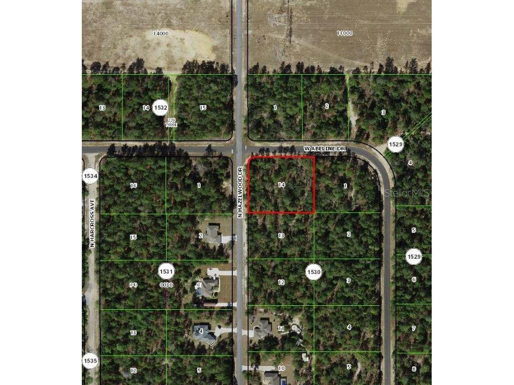 6777 N Hazelwood Drive Citrus Springs FL 34433 TB8454385 image2