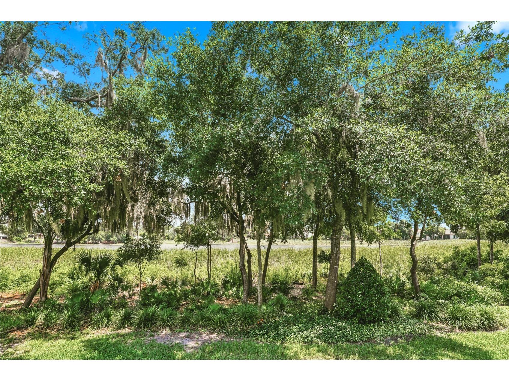 678 Lakeworth Circle Lake Mary FL 32746 - BANANA LAKE O6417727 image41