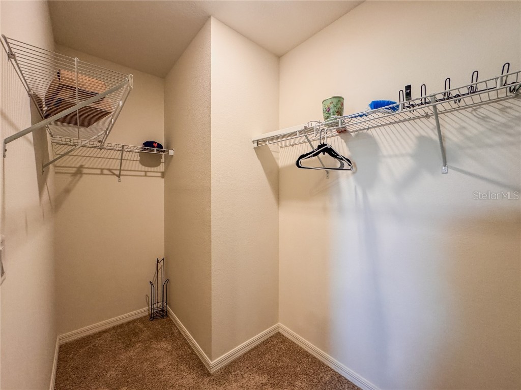 6780 Coral Berry Drive Mount Dora FL 32757 O6338571 image30