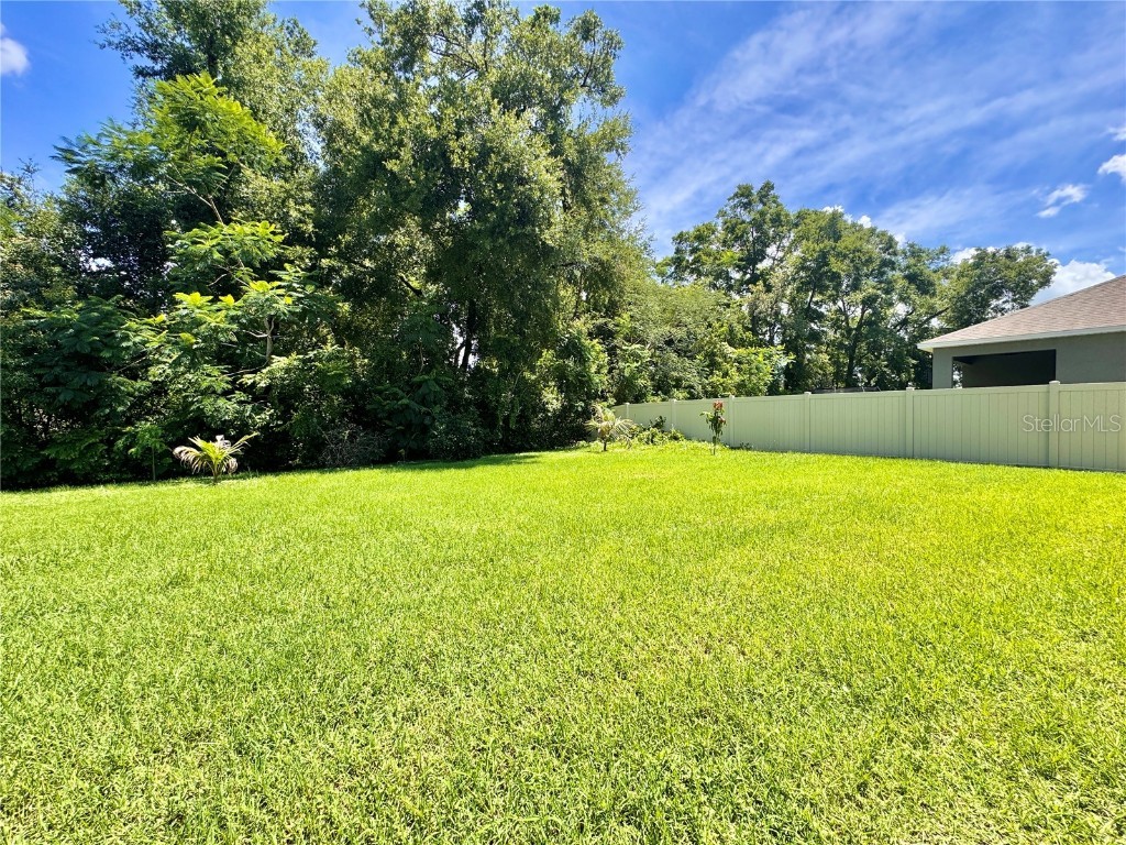 6780 Coral Berry Drive Mount Dora FL 32757 O6338571 image37