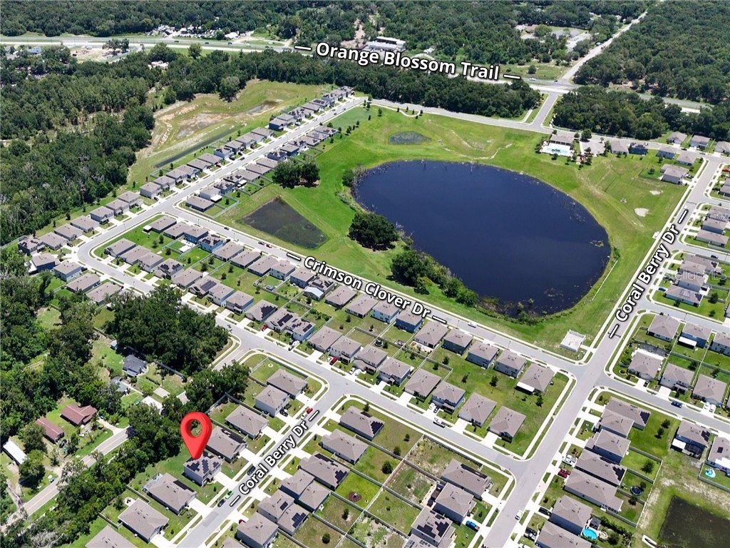 6780 Coral Berry Drive Mount Dora FL 32757 O6338571 image42