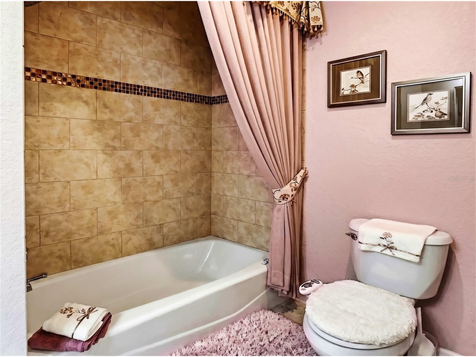 6781 Basswood Circle Zephyrhills FL 33542 TB8506264 image12