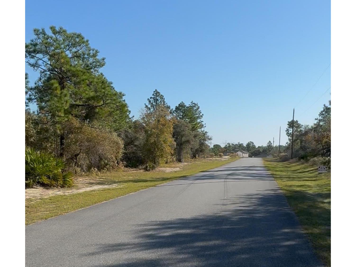 6783 N Pavilion Loop Citrus Springs FL 34433 O6377812 image2