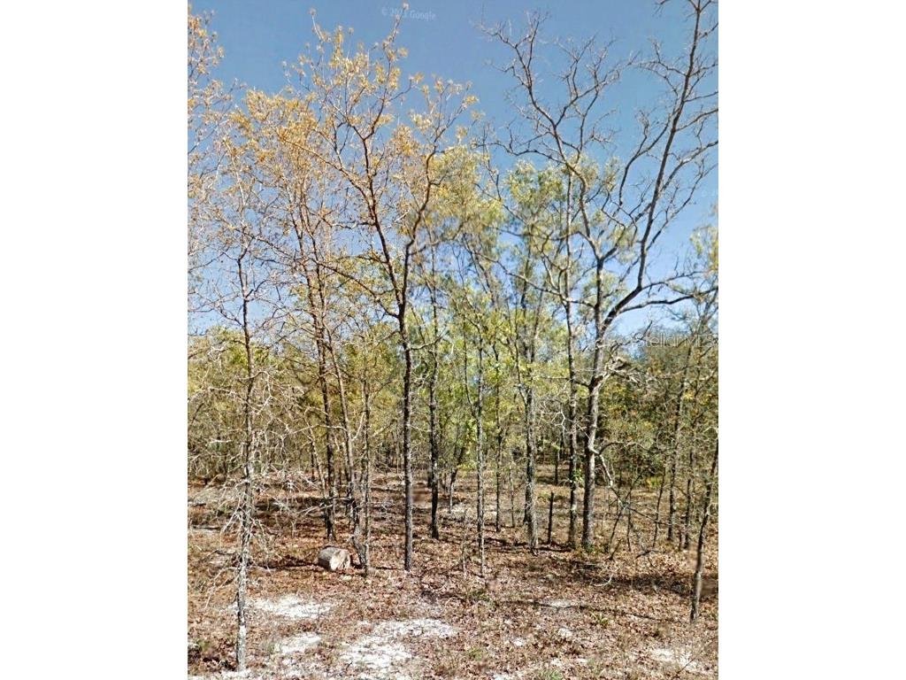 6783 S Kirk Point #13O Lecanto FL 34461 U8201671 image1