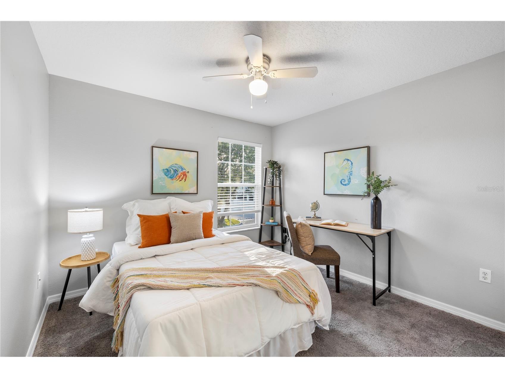 6785 47th Lane N Pinellas Park FL 33781 TB8511593 image22