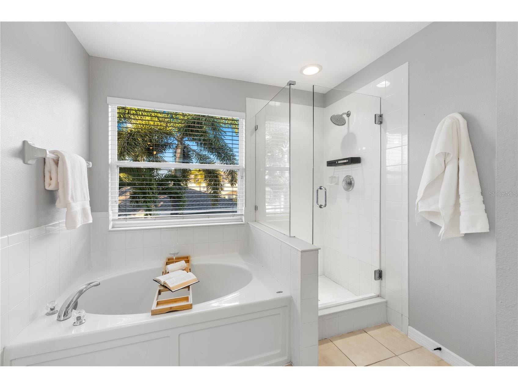 6785 47th Lane N Pinellas Park FL 33781 TB8511593 image26