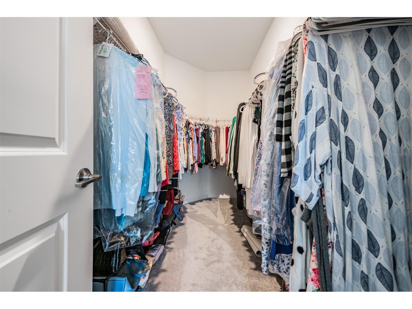 6787 Ripple Pond Loop Zephyrhills FL 33541 TB8485133 image17