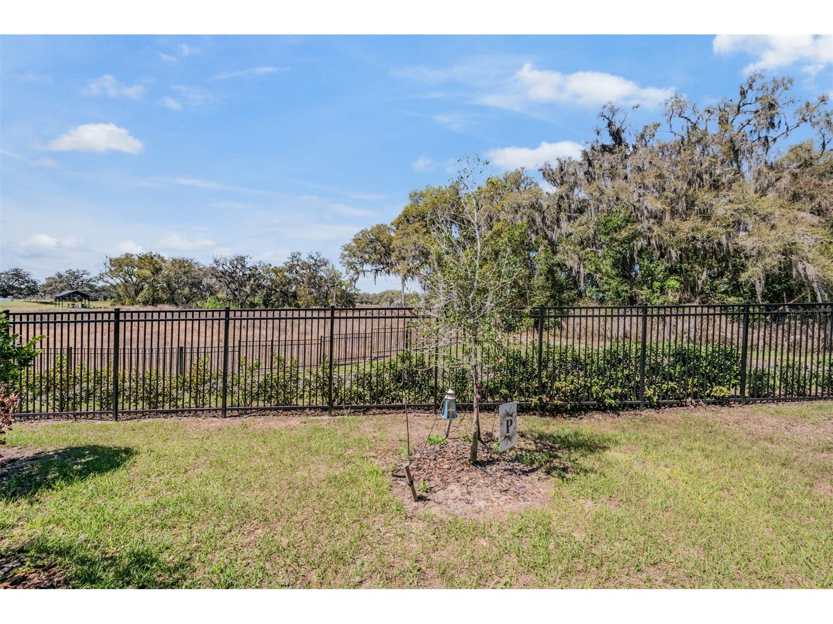 6787 Ripple Pond Loop Zephyrhills FL 33541 TB8485133 image3