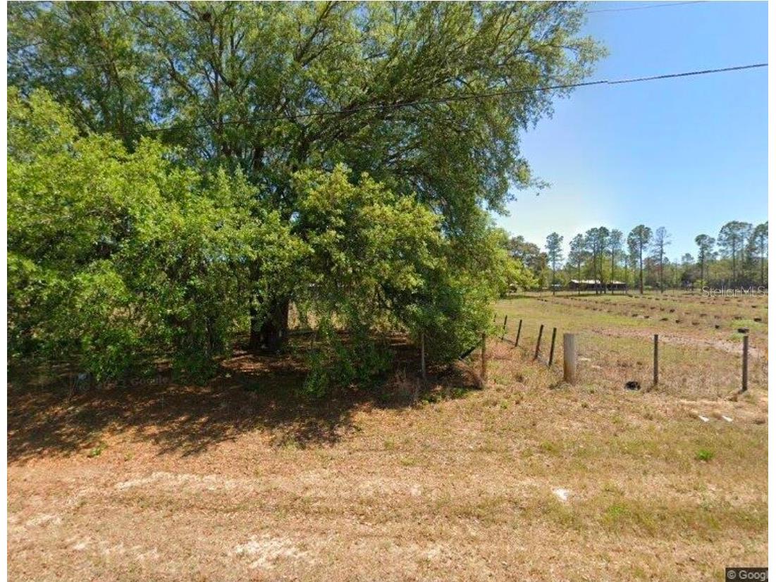 6787 S Sunnyview Point Homosassa FL 34446 TB8496944 image1