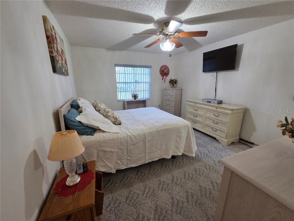 6788 Basswood Circle Zephyrhills FL 33542 TB8447195 image10