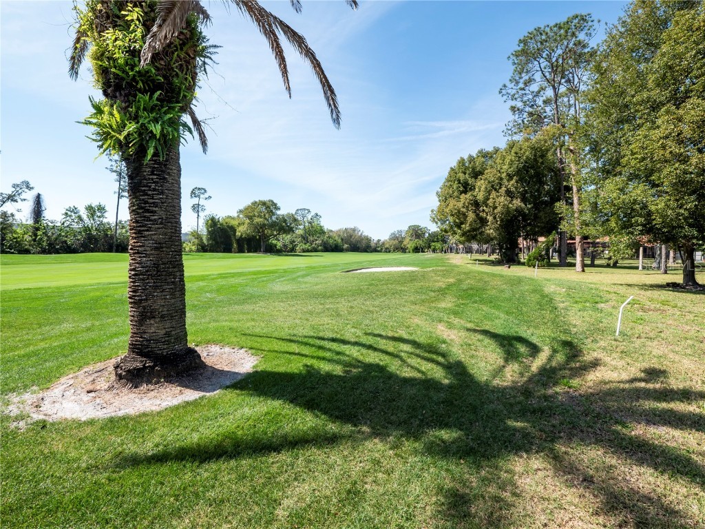 6790 Edgeworth Drive Orlando FL 32819 O6295897 image50