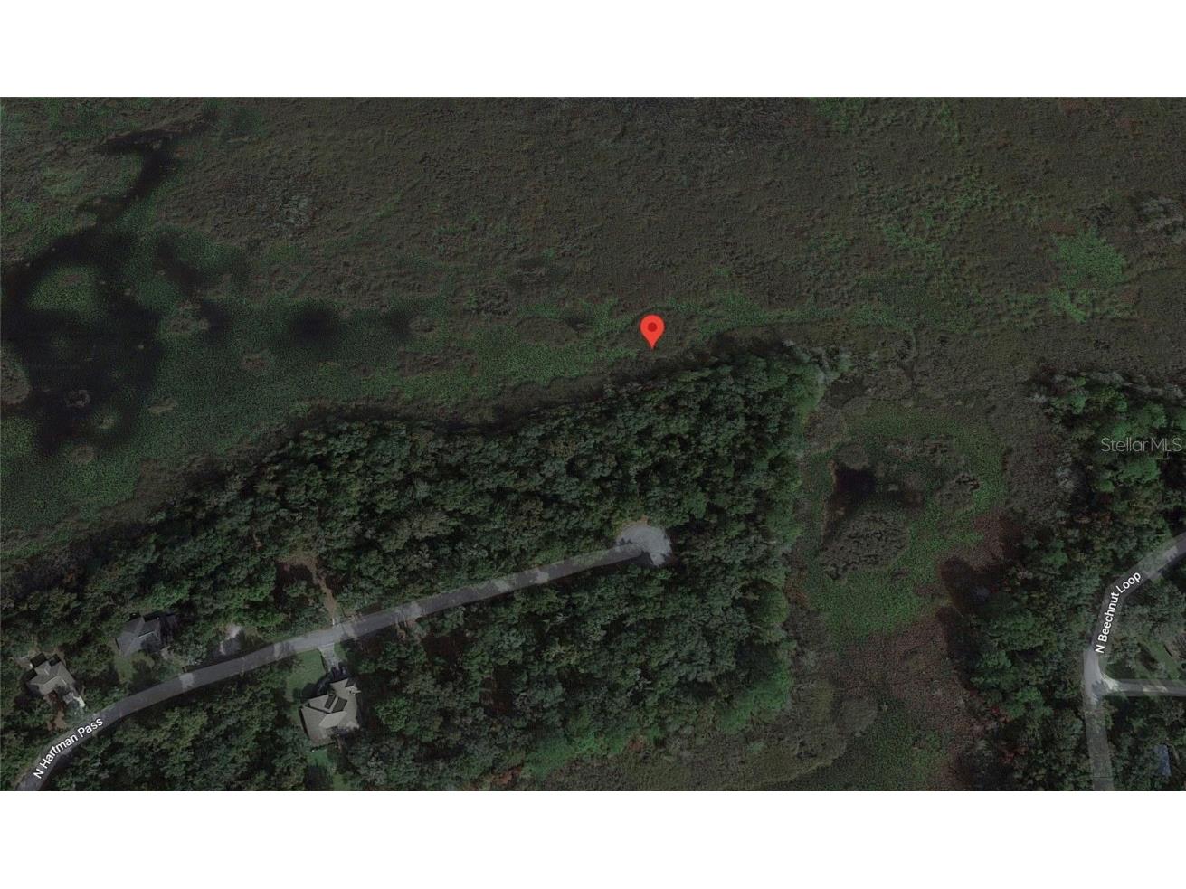 6790 N Hartman Path Hernando FL 34442 C7472368 image1