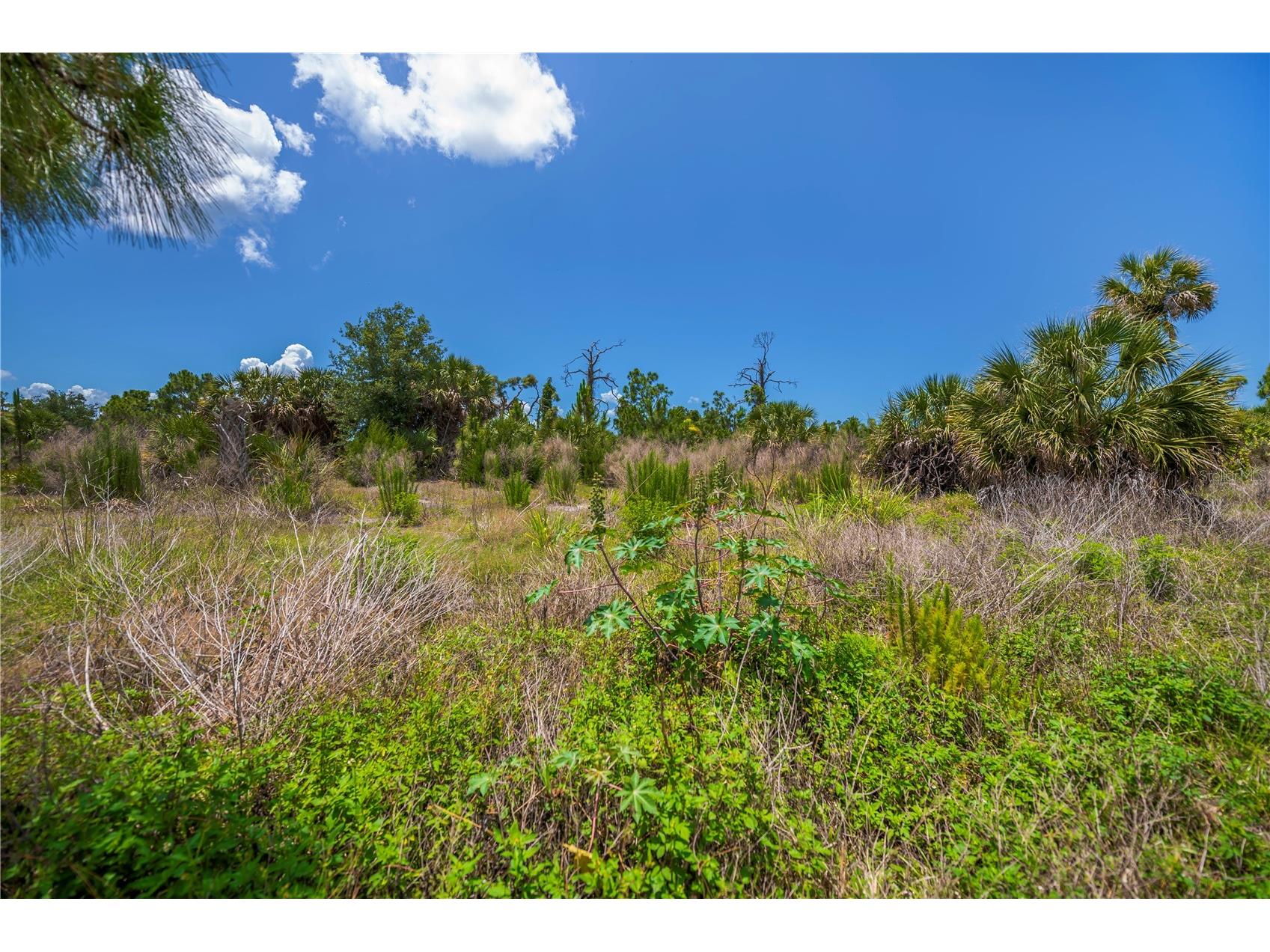 6796 Gasparilla Pines Boulevard #10 Englewood FL 34224 D6147477 image57