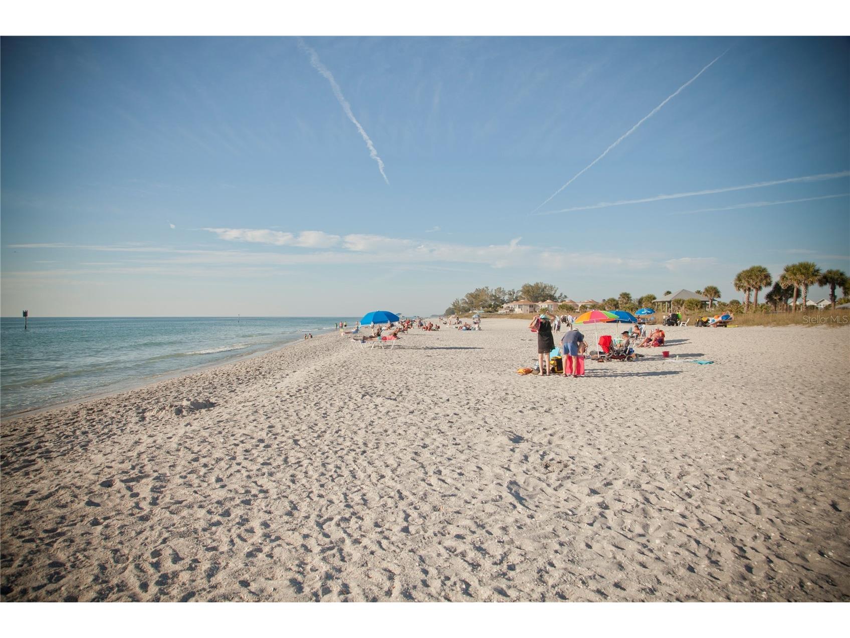 6796 Gasparilla Pines Boulevard #10 Englewood FL 34224 D6147477 image71