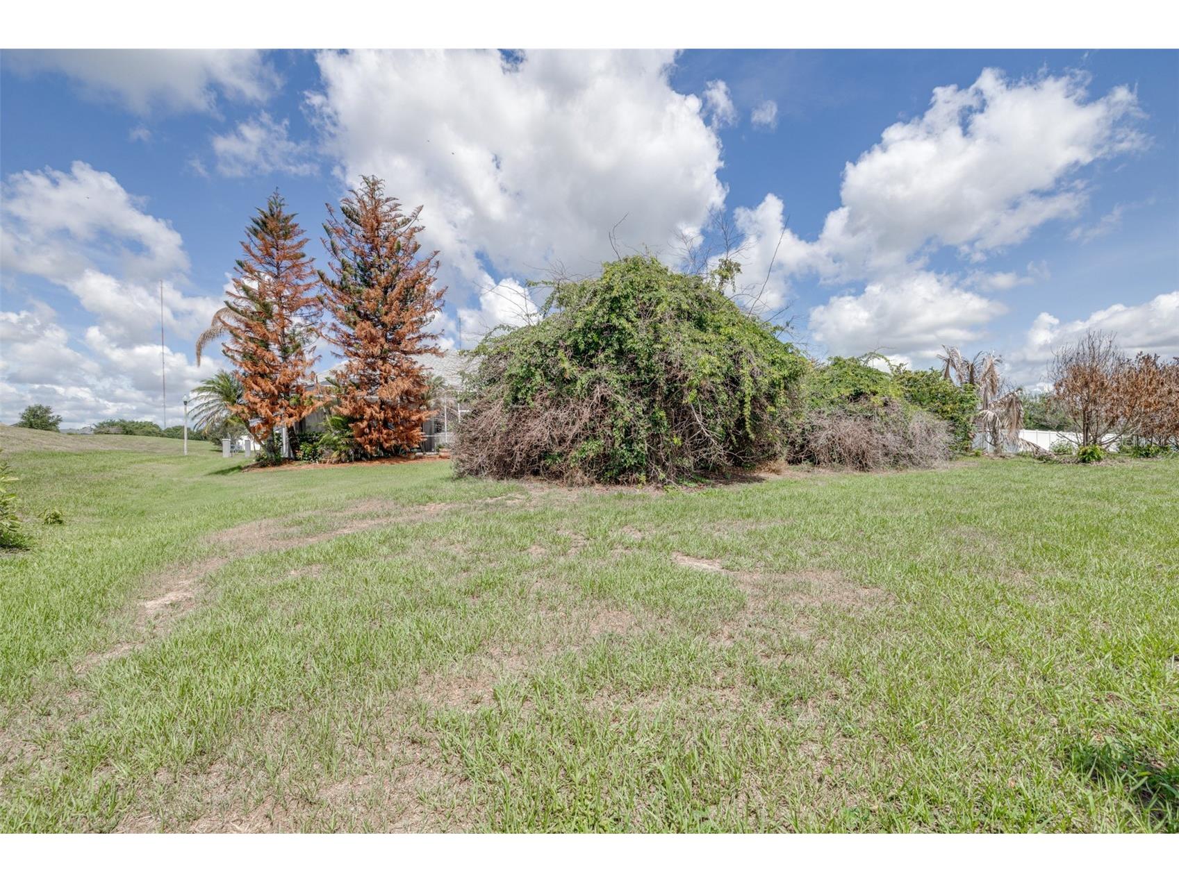 6798 Hartsworth Drive Lakeland FL 33813 L4962449 image52