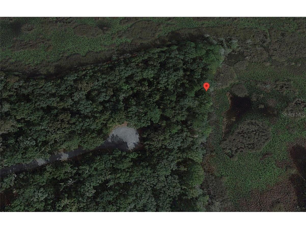 6798 N Hartman Path Hernando FL 34442 C7472514 image1