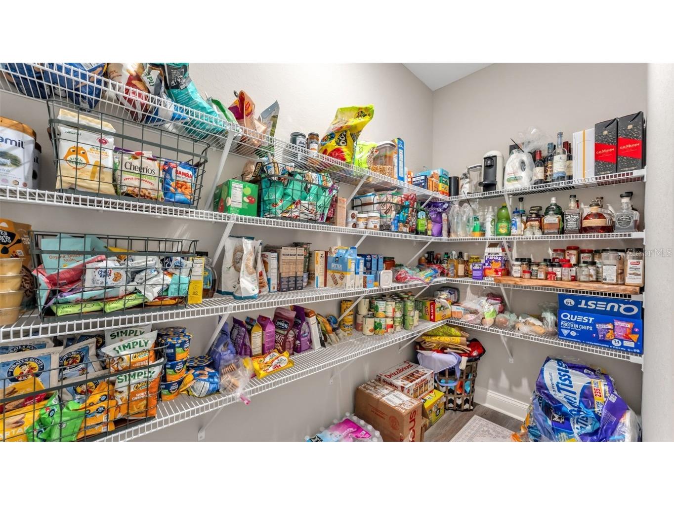 6799 Treymont Drive Lakeland FL 33813 L4956943 image25