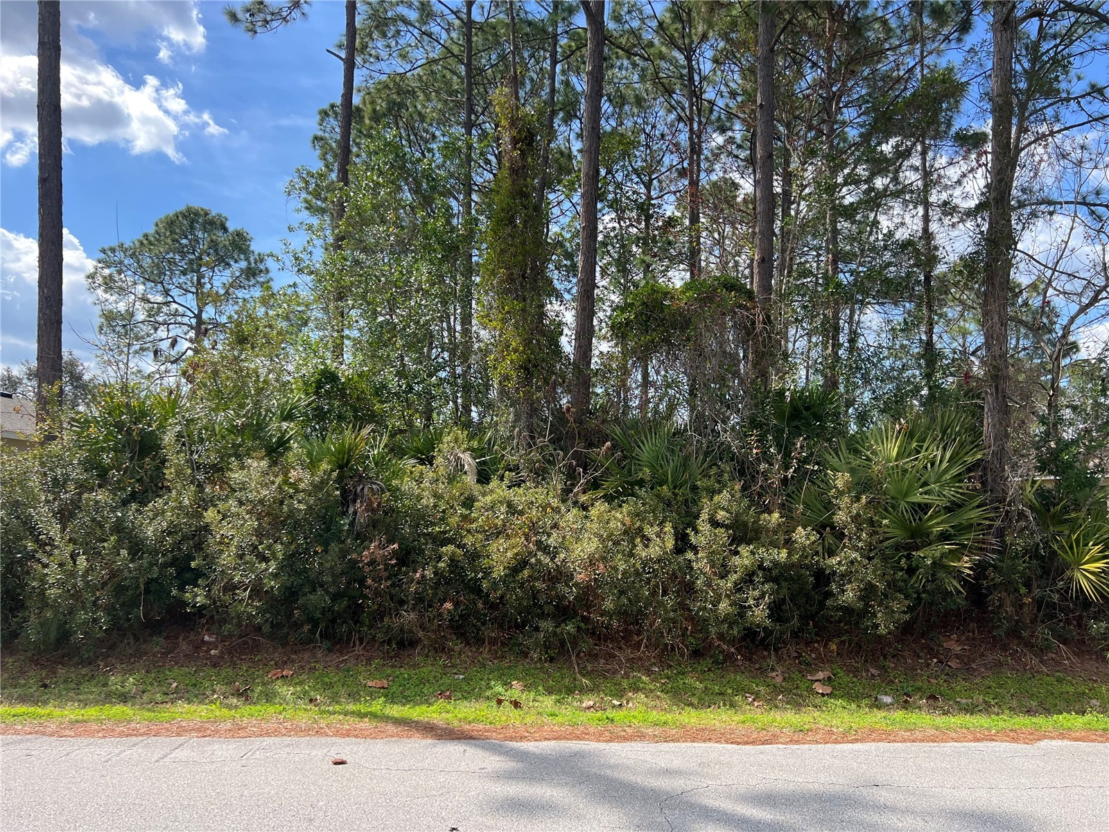 68 Birchwood Drive Palm Coast FL 32137 FC316389 image1